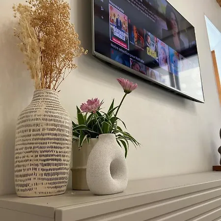 Maison De Caractère Au Coeur Du Castelviel à Appartement Albi