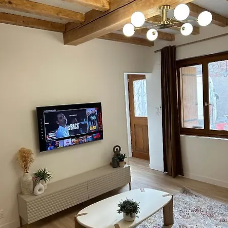 Maison De Caractere Au Coeur Du Castelviel A * Albi