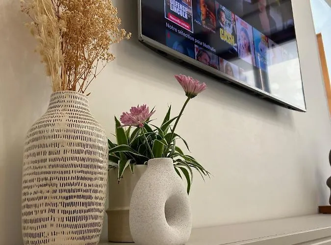 Maison De Caractère Au Coeur Du Castelviel à Appartement Albi