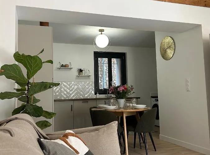 Appartement Maison De Caractère Au Coeur Du Castelviel à *