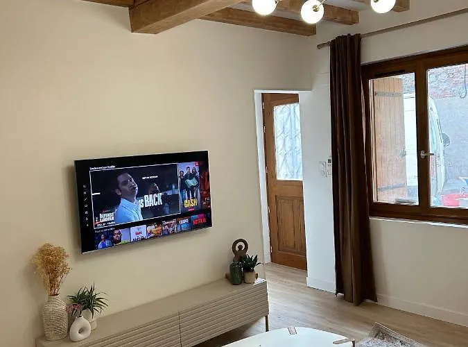 Maison De Caractere Au Coeur Du Castelviel A * アルビ