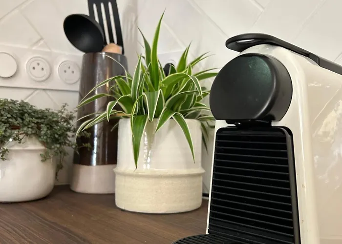 Maison De Caractère Au Coeur Du Castelviel à